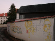 Policie ČR