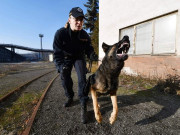 Týdeník Policie